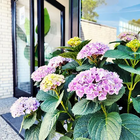 Moderne Mit Sonnenterrasse & Gartenblick - Strandnah Und Parkplatz In Ruhiger Lage - Hoher Schlafkomfort * Scharbeutz